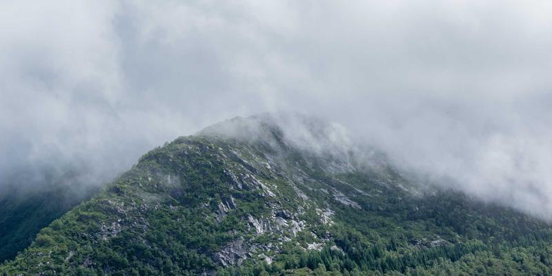 世纪建筑公司：聊城历史建筑保护与修缮工程中的工程管理与设计智慧