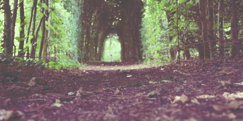 聊城建筑工程15年深耕：世纪建筑公司如何以设计与施工双轮驱动城市发展