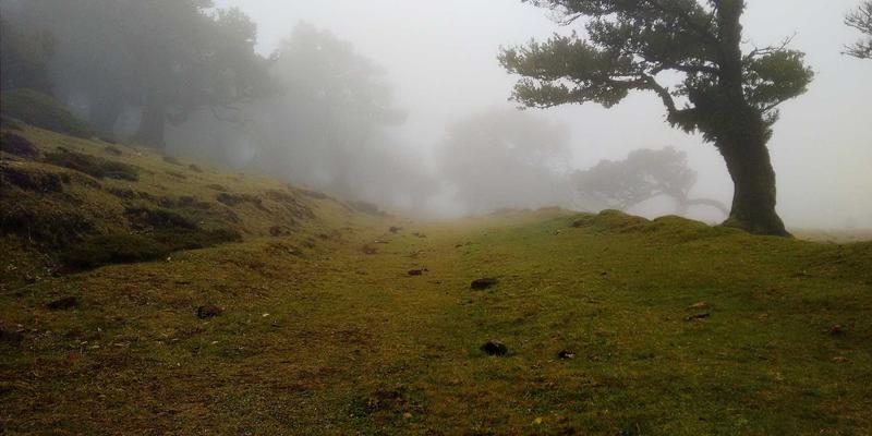 聊城建筑工程39项目深度解析：看世纪建筑公司如何以精细化管理铸就时代精品