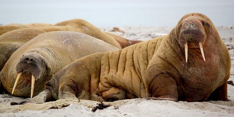 聊城建筑工程49号项目深度解析：世纪建筑公司如何塑造城市新地标