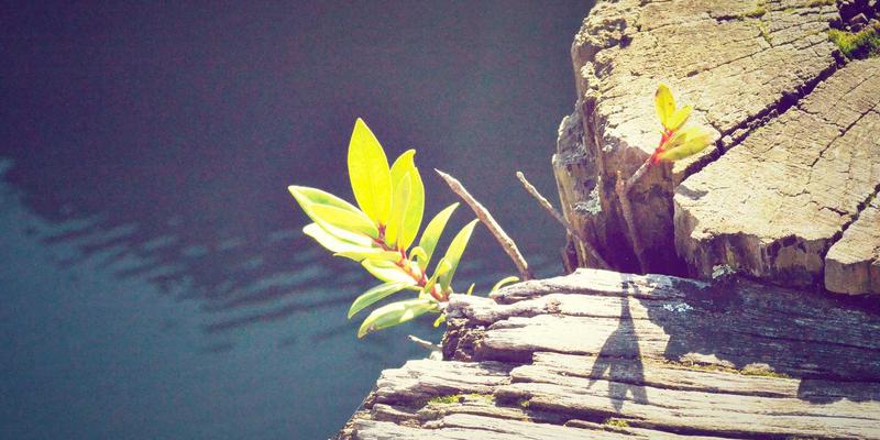 聊城建筑工程54:设计创新与施工实践的融合之道