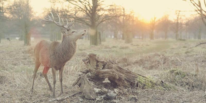 聊城建筑工程84号项目解析:世纪建筑公司如何以设计与管理的融合重塑城市天际线