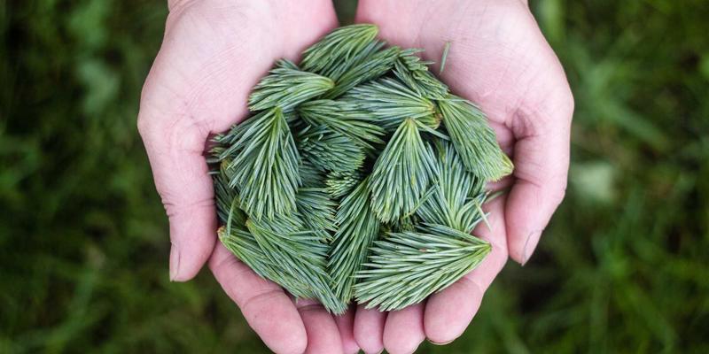 聊城建筑工程87号项目解析：建筑设计、施工与管理的一体化实践