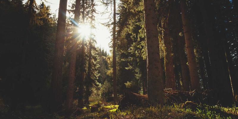 聊城建筑工程：从设计到施工的全方位解析与行业洞察