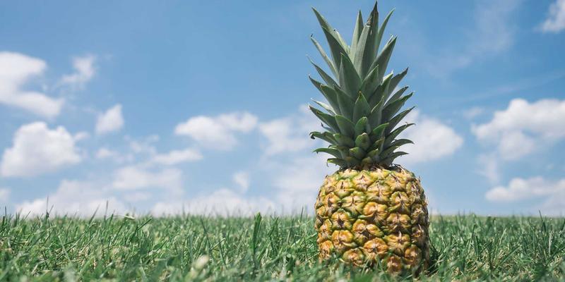 聊城建筑工程农民工工资支付保障机制深度解读：从工程管理到建筑设计的关键实践