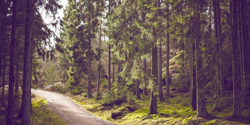 聊城建筑工程成本控制策略：从预算编制到施工过程的精细化管理