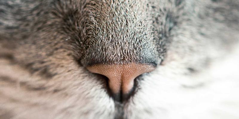 聊城建筑工程技巧：从设计到管理的全流程优化策略