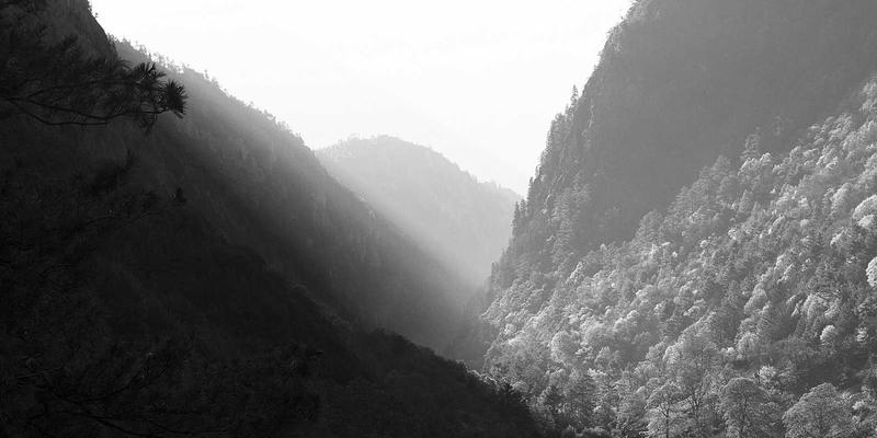 聊城建筑工程新标杆：世纪建筑公司如何以创新设计重塑城市天际线