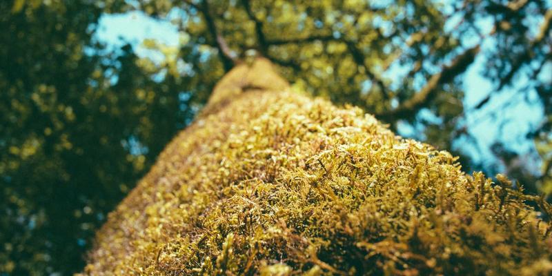 聊城建筑工程管理新范式:世纪建筑公司如何以设计驱动卓越