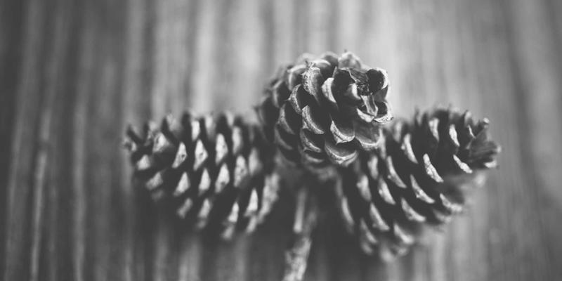 聊城建筑工程绿色施工技术应用与环保标准解析——以世纪建筑公司为例