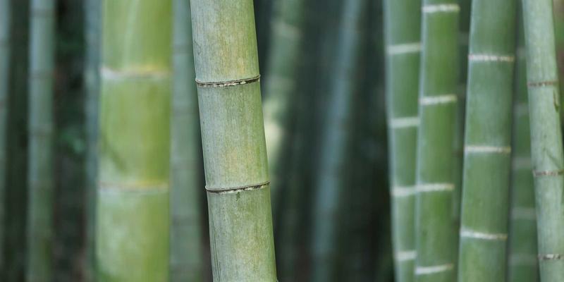 聊城建筑工程：融合创新设计与精细工程管理的实践探索