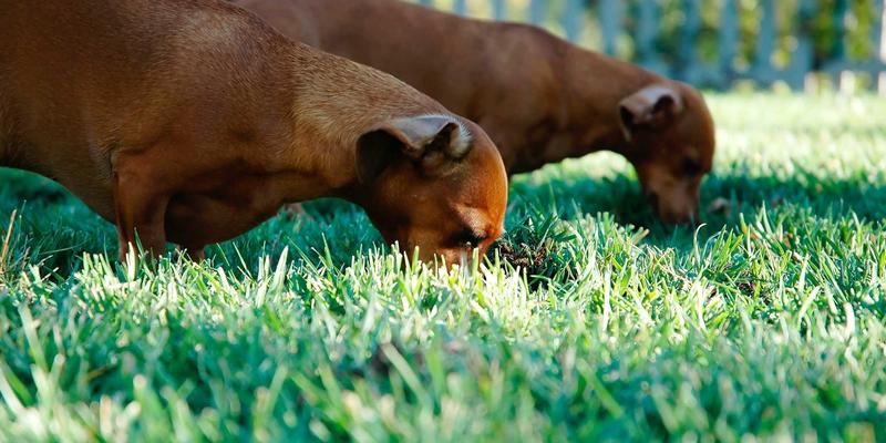 聊城高层建筑消防系统设计与施工验收规范详解 | 世纪建筑公司专业解读